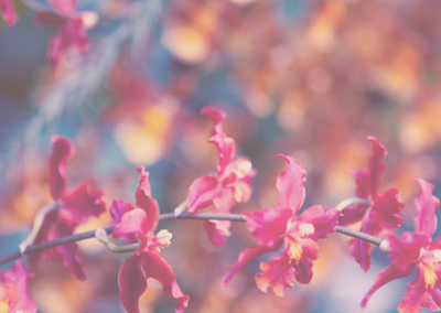 攻击网站的方法